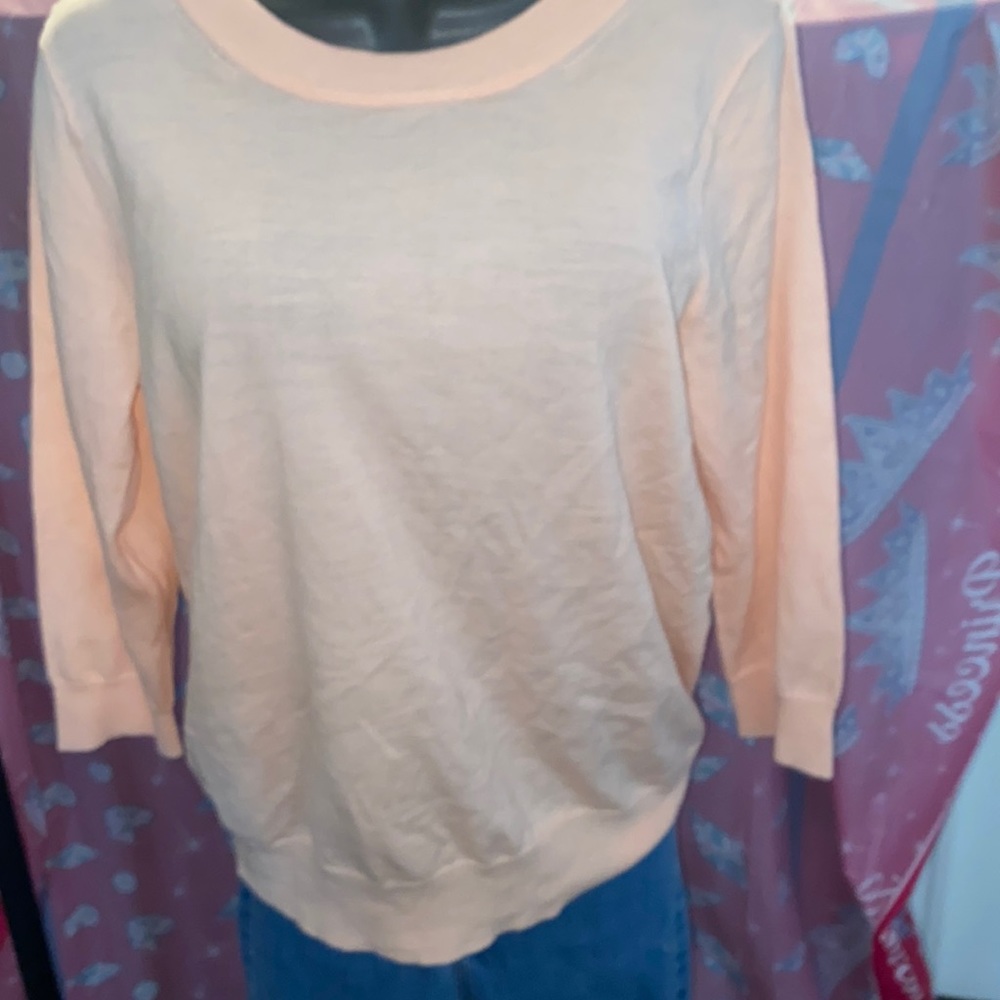 J Crew sweater